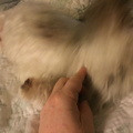 IMG 2274